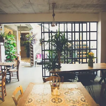 Bed & Breakfast The Iskemleci Nicosia